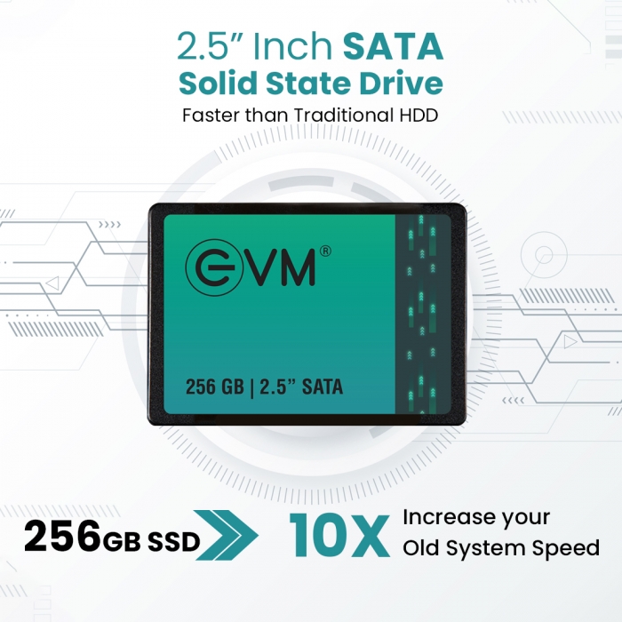 EVM 256GB SSD 2.5" INCH SATA